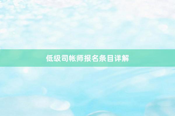 低级司帐师报名条目详解