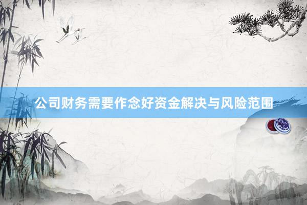 公司财务需要作念好资金解决与风险范围