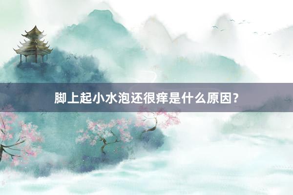 脚上起小水泡还很痒是什么原因？