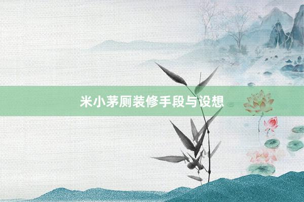 米小茅厕装修手段与设想