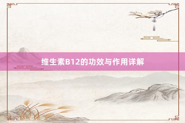 维生素B12的功效与作用详解