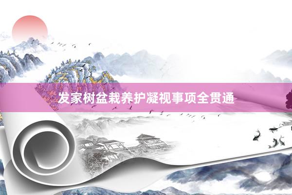 发家树盆栽养护凝视事项全贯通