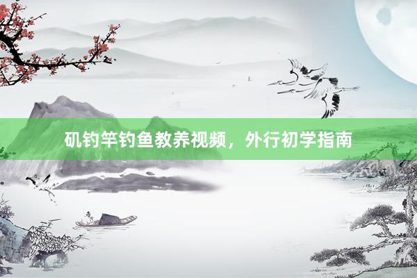 矶钓竿钓鱼教养视频，外行初学指南